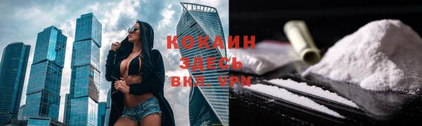 крисы Армянск