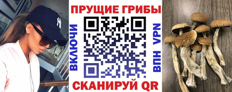 Галлюциногенные грибы ЛСД  Родники 